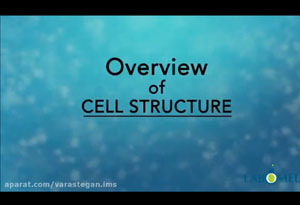 مروری بر ساختار سلول ها