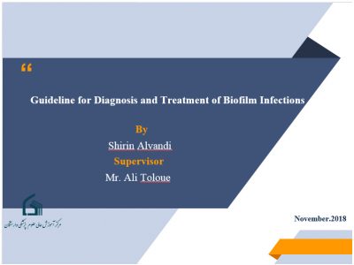 Guideline for Diagnosis and Treatment of Biofilm Infections