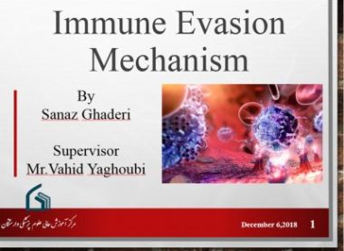 Immune Evasion Mechanism