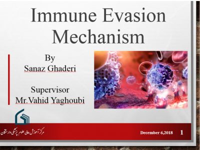 Immune Evasion Mechanism