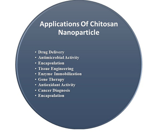 Figure 2. Schematic representation of applications of chitosan-based bioactive materials