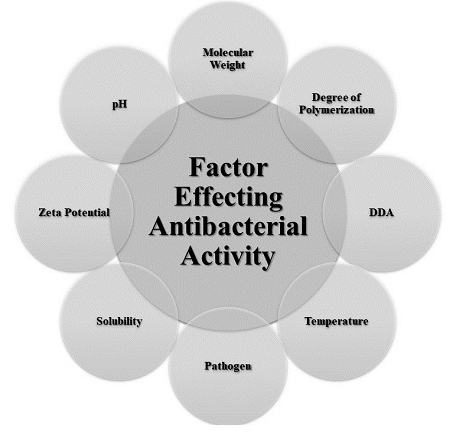 Figure 3. Factor affecting antibacterial activity