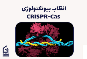 انقلاب بیوتکنولوژی:CRISPR-Cas تحولی شگرف در دنیای ژنتیک 🧬🪡
