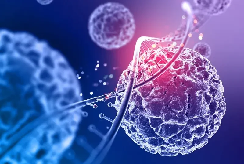 سلول‌های بنیادی مزانشیمی (MSC)